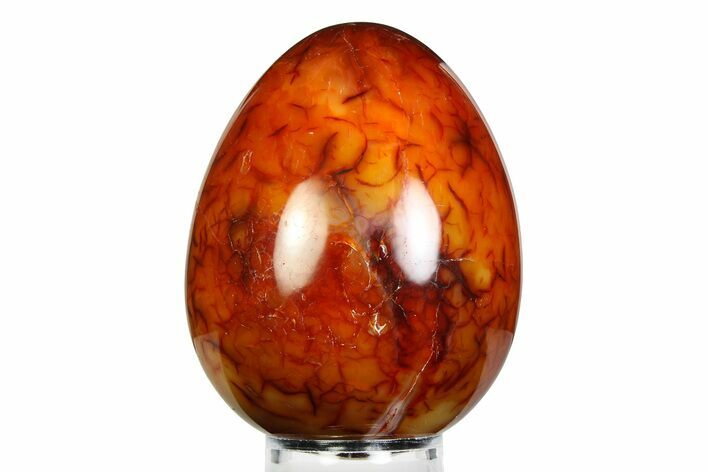 Vibrant Polished Carnelian Agate Egg - Madagascar #355490